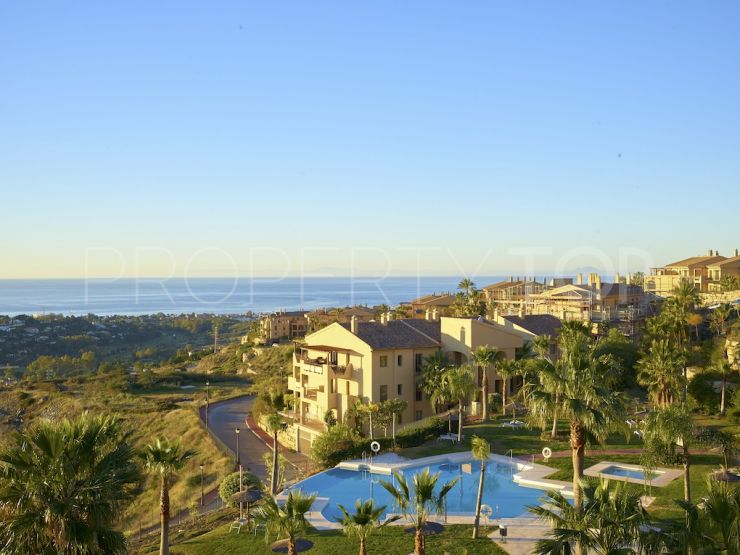 Hacienda del Señorío de Cifuentes - Apartments